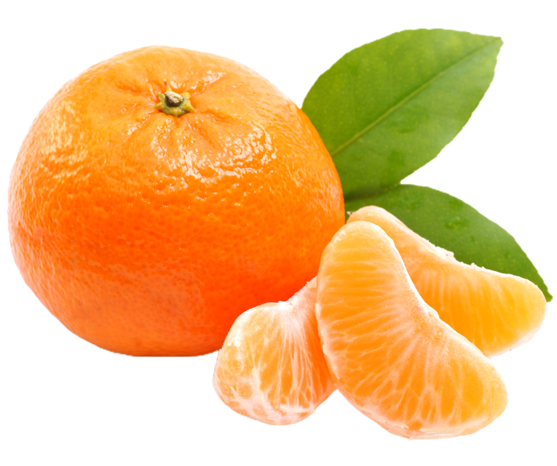 Bloque-3_Clementine