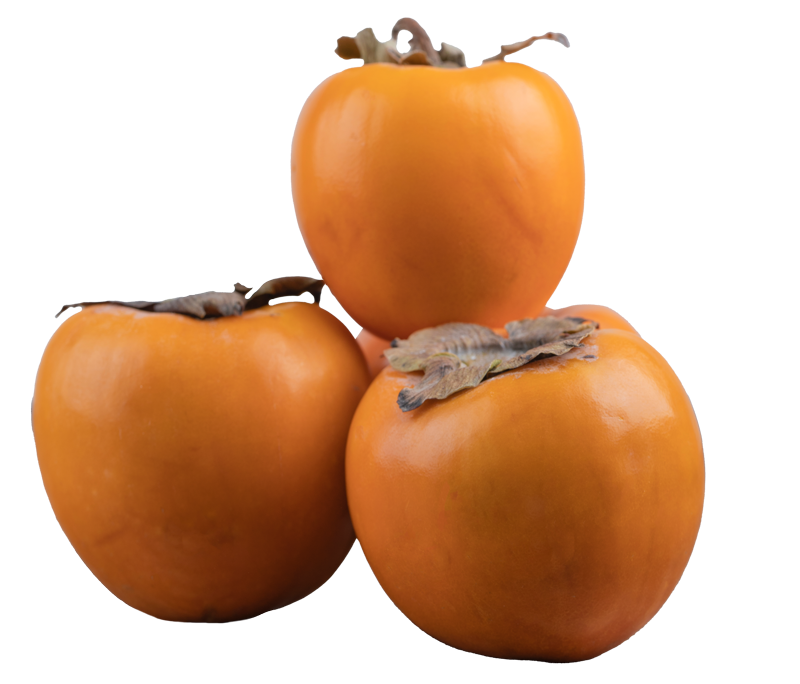 Bloque-5_Persimmon